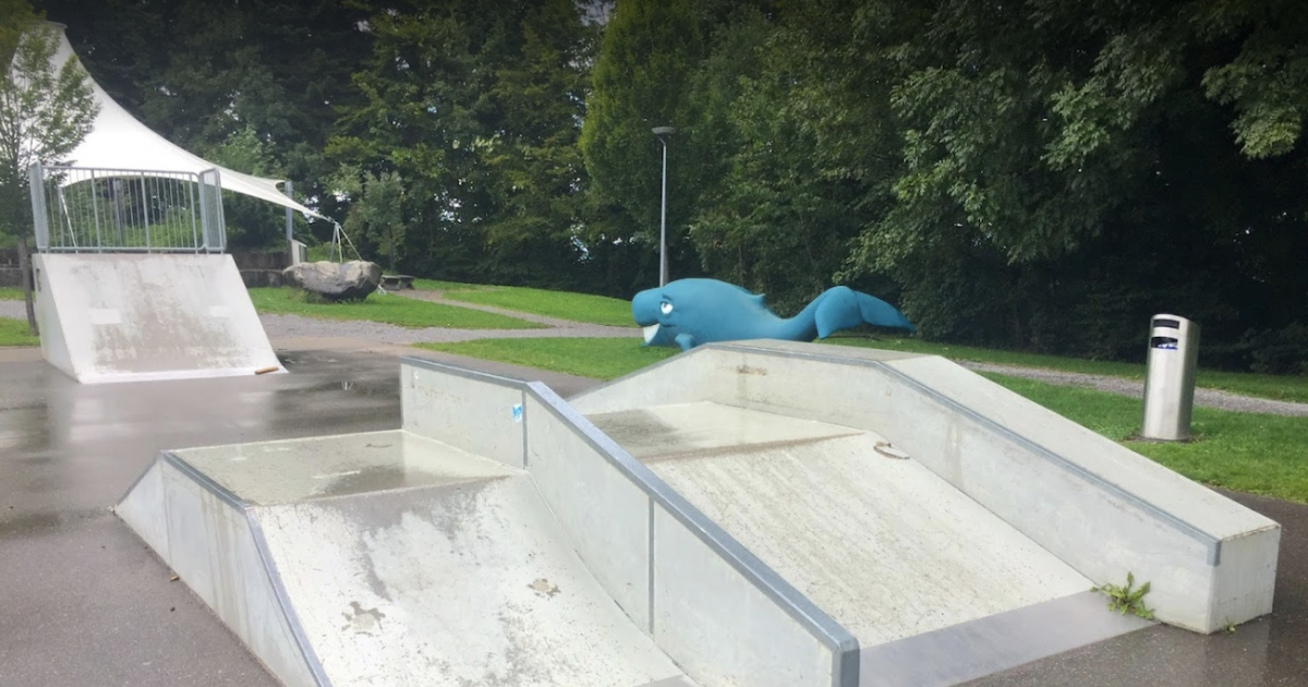 Oberwil-Lieli skatepark