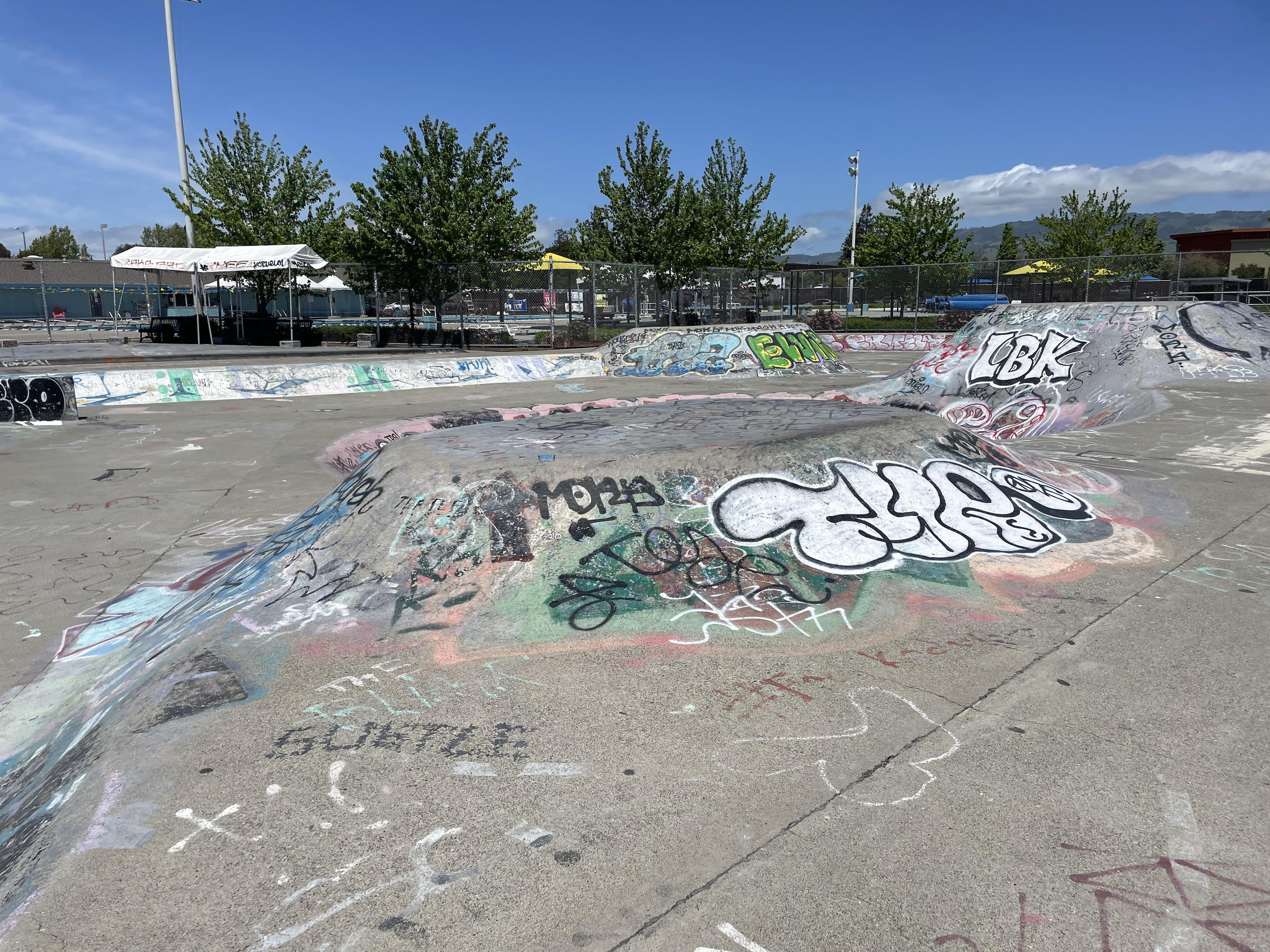 Lucchesi Skatepark Project - City of Petaluma